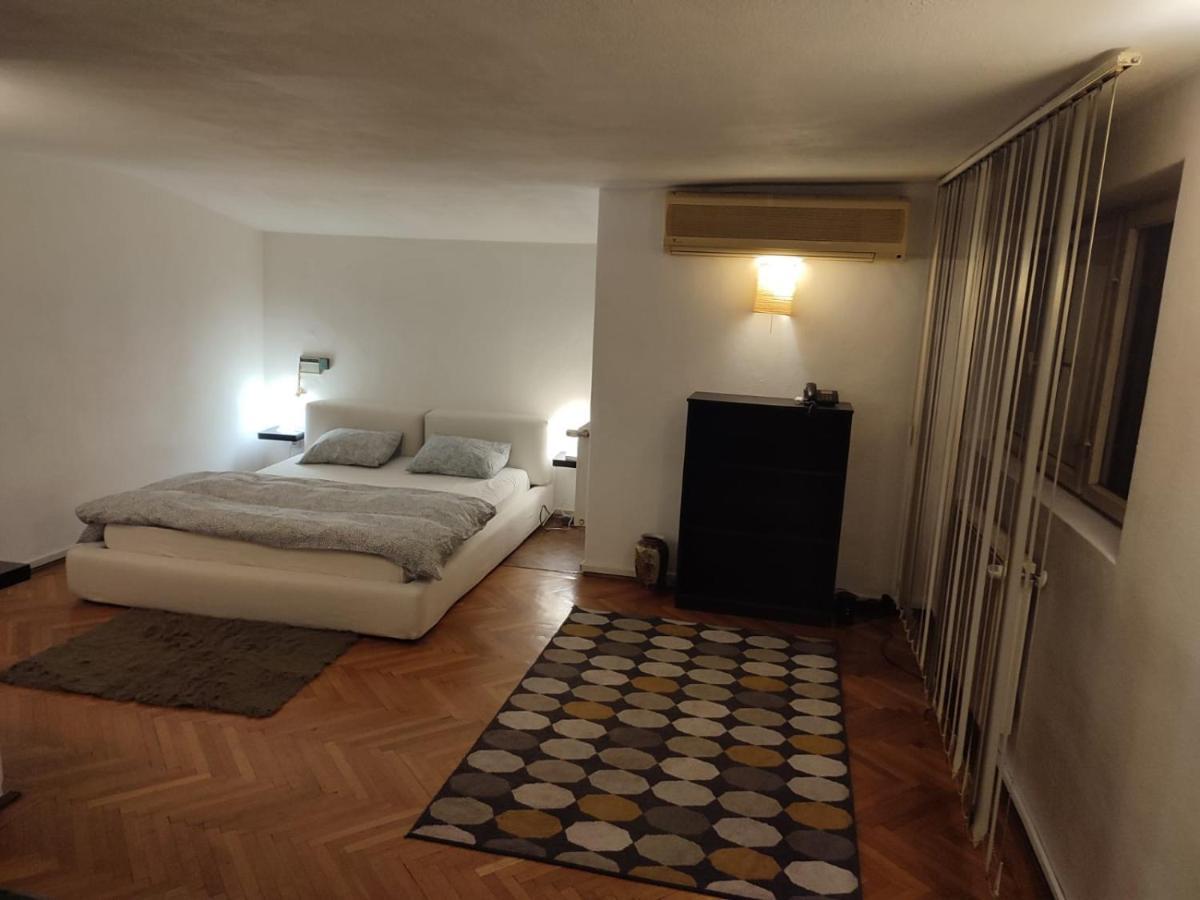 Dorobanti Loft Apartment Bucharest Exterior photo